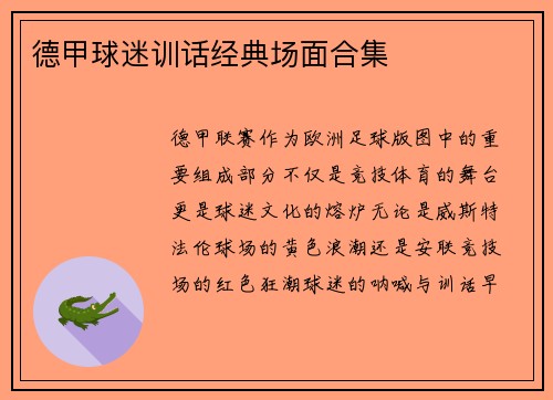 德甲球迷训话经典场面合集